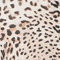 Leopard Print Long Sleeve Dress 7 Leopard Print Long Sleeve Dress - Image 5